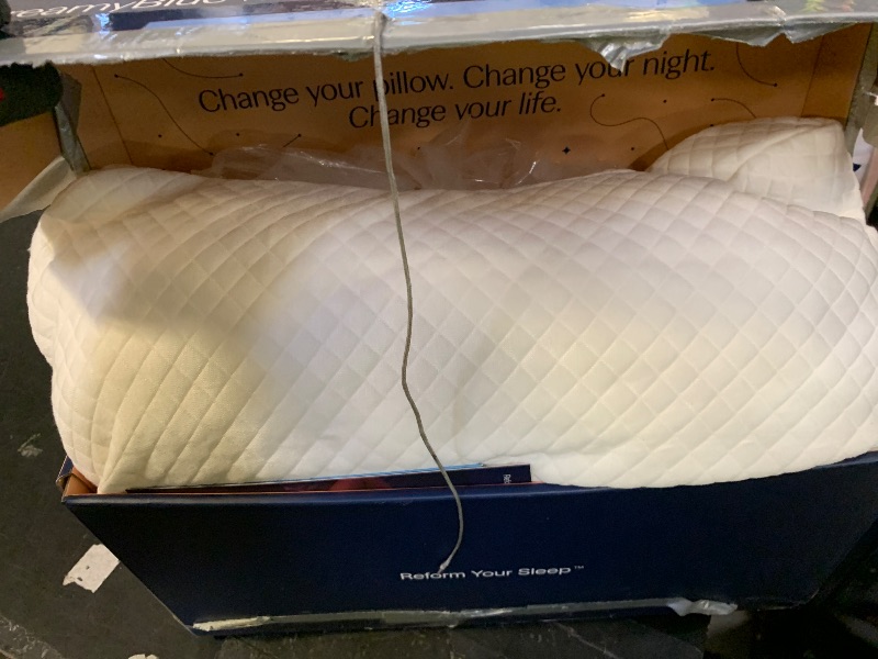 Photo 1 of DreamyBlue Moon Pillow • Adjustable Loft, Luxury Cover, Shredded Memory Foam • for Back, Side and Combination Sleepers • Neutral Alignment for All • CertiPUR-US Certified Foam (Queen)