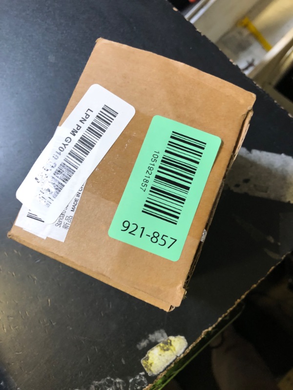 Photo 1 of 1:1 Anatomic Teeth Model - Silicone Practice Set for Brushing & Flossing Demonstration, Visible Gums