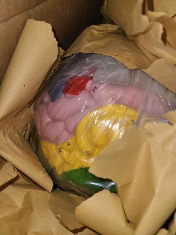 Photo 1 of 2025 New Human Brain Model for Neuroscience Teaching with Labels 1.5 Times Life Size Anatomy Model for Learning Science Classroom Study Display Medical Model,9 Colors to Identify Brain Functions