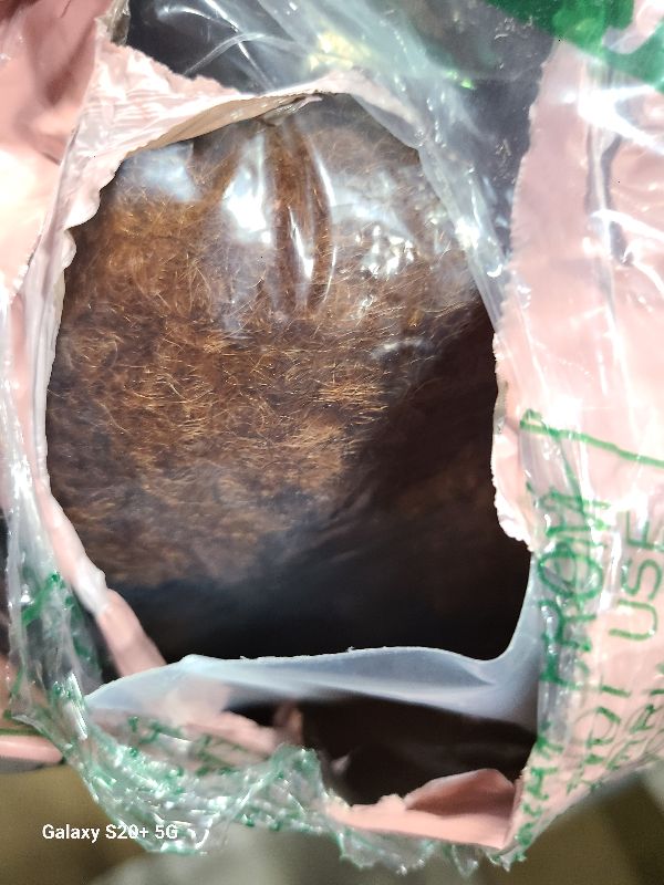 Photo 1 of ?Afro Kinkys Bulk Human Hair Kinky-Curly 100% Real Human Hair for Twist, Braiding, Dreadlocks & Sister Locs, Natural Soft Pre Fluffed, Can Be Dyed Bleached (#30 Medium Auburn, 16 Inch)
