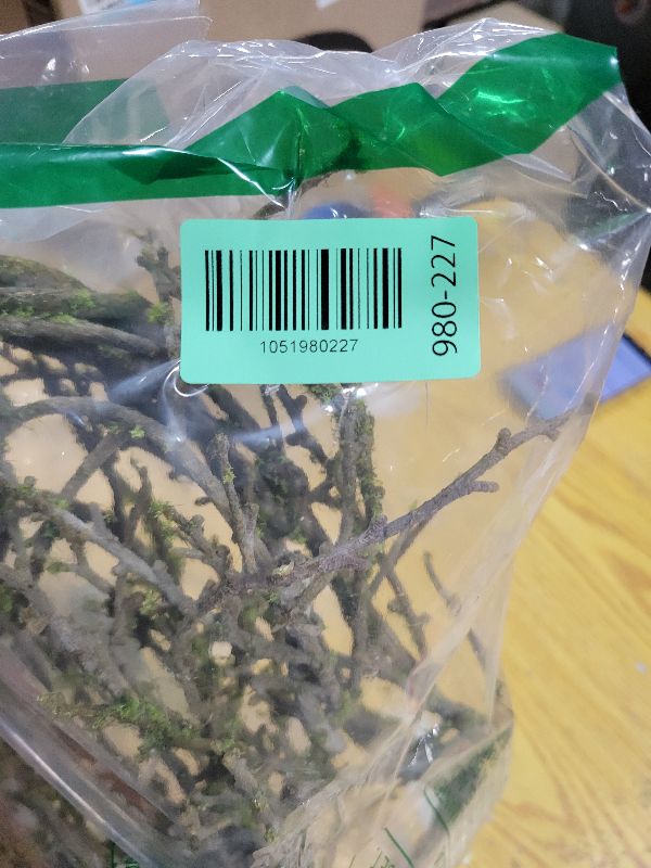 Photo 1 of 190cm/74.8inch Artificial Creepy Flexible Tree Branches Faux Grape Vines Garland Twigs with Moss Wood Craft for Halloween Door Wall Hanging Cottage Haunted Mansion Theme Outdoor Mantel Decoration (1)