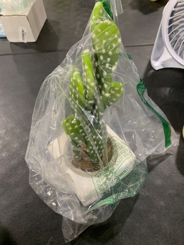 Photo 1 of DILATATA 13' Small Fake Cactus Plant Potted 'Prickly Pear Cactus' Faux Cacti for Home Garden Office Decor Housewarming Gifts