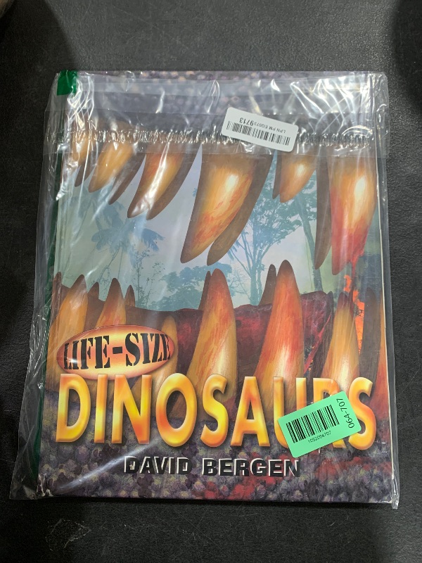 Photo 1 of dinosaur book