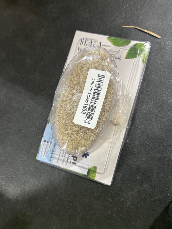 Photo 1 of Dry Brushing Body Brush SCALA Natural Bristle Body Brush, Soft Body Exfoliating Brush Scrub for Dead Skin, Cellulite, Lymphatic Drainage, Blood Flow – Thicker & Stronger Medium Strength