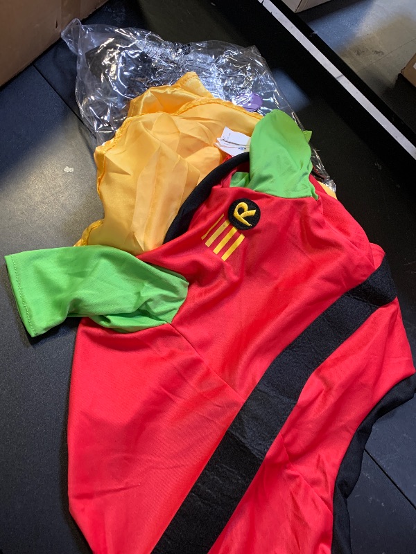 Photo 1 of Rubies Teen Titans: Robin Pet Costume for Dogs or Cats, Large