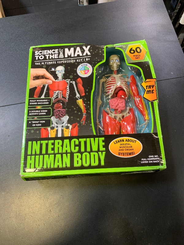 Photo 1 of Be Amazing! Toys Interactive Human Body - 60 Piece Fully Poseable Anatomy Figure – 14” Tall Model - Anatomy Kit – Removable Muscles, Organs,Bones STEM Toy – Ages 8+