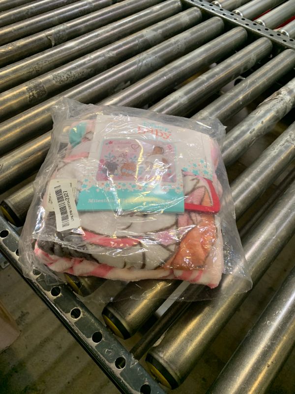 Photo 1 of Disney Aristocats Pink Picture Purr-FECT Super Soft Photo Op Milestone Baby Blanket