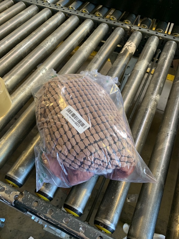 Photo 1 of Hollypet Plush Dog Squeaky Toy Stuffed Armadillo Animal Pet Puppy Chew Toys with Clean Teeth for Small Medium Large All Breed Sizes Dogs, Brown, 14 in