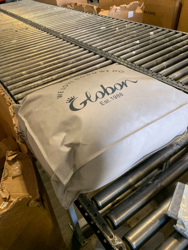 Photo 1 of Globon Winter White Goose Down Comforter Queen Size,Down Duvet Insert,800 Fill Power,420 Thread Count Ultra Soft Noiseless Shell with Corner Tabs,White