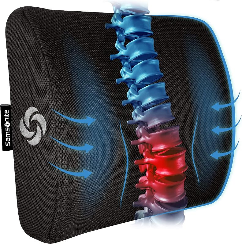 Photo 1 of Samsonite Ergonomic Lumbar Support Pillow