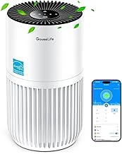 Photo 1 of GoveeLife Mini Air Purifier