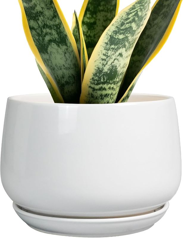 Photo 1 of G EPGardening Ceramic Pots for Plants - 7 Inch Planter for Indoor Plants, Round Flower Pots with Drainage and Saucer, Modern Outdoor Planter, Garden Decor, Home Gifts, White