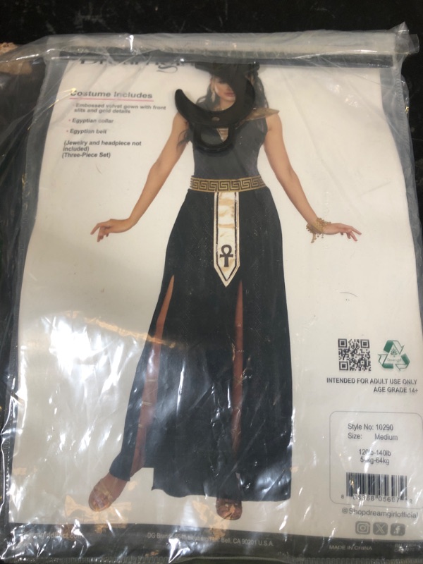 Photo 1 of Dreamgirl costume