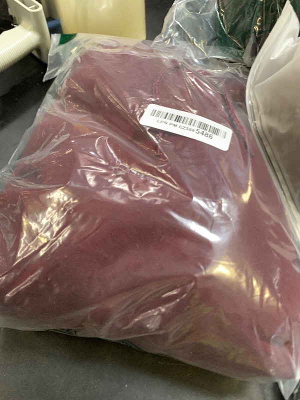 Photo 1 of Hanes Men's Pullover EcoSmart Hooded Sweatshirt, maroon, Medium