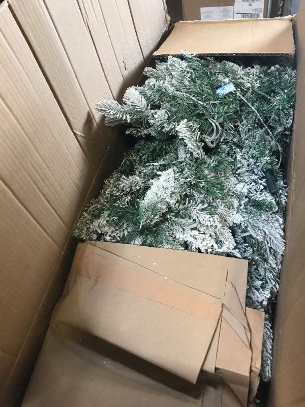 Photo 1 of frosted christmas tree