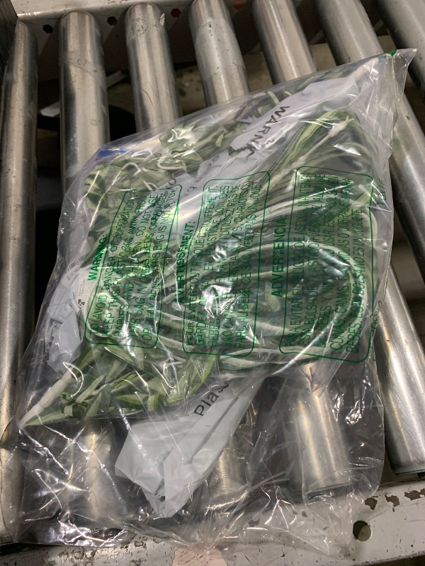 Photo 1 of  HANGING PLANTS DECOR 