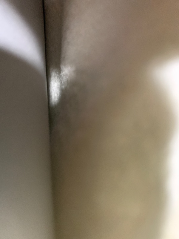 Photo 1 of CUDDLE DREAMS Premium Cashmere Throw Blanket with Fringe, Luxuriously Soft (Ivory)