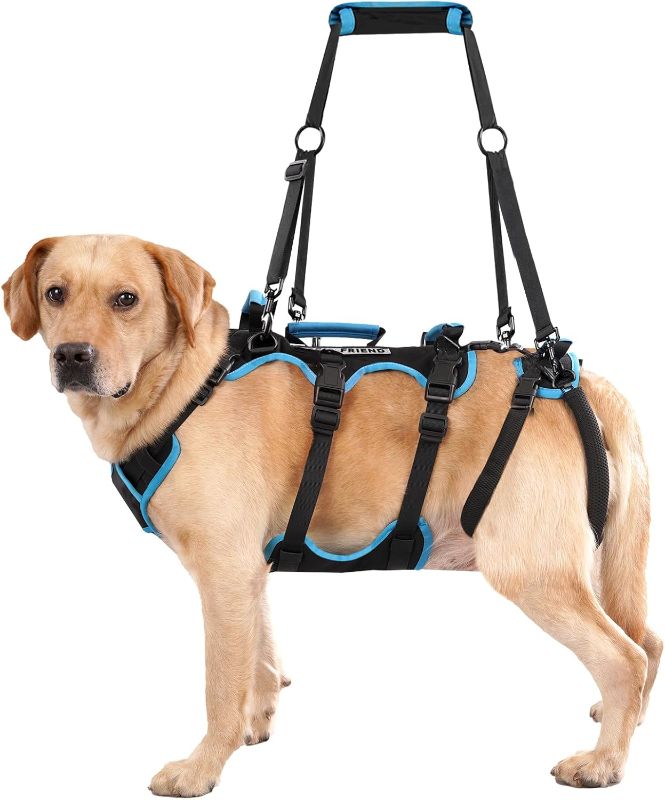 Photo 1 of Dog Lift Harness for Large Male Dogs, 2-in-1, Back Leg Support & Mobility Assistance for Senior Dogs, Post-Surgery Recovery Sling