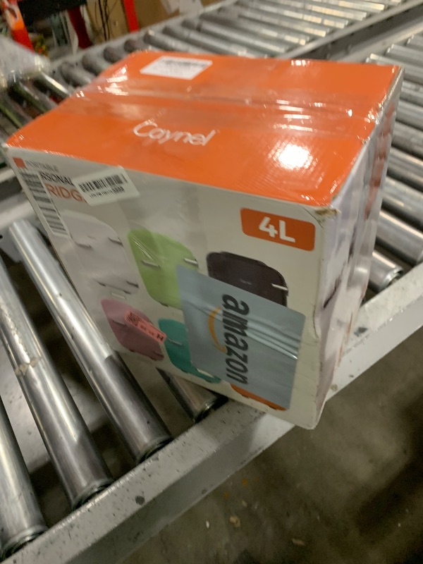 Photo 1 of Mini Fridge Portable Thermoelectric 4 Liter Cooler and Warmer for Skincare, Eco Friendly Beauty Fridge For Foods,Medications, Cosmetics, Breast Milk, Medications Home and Travel