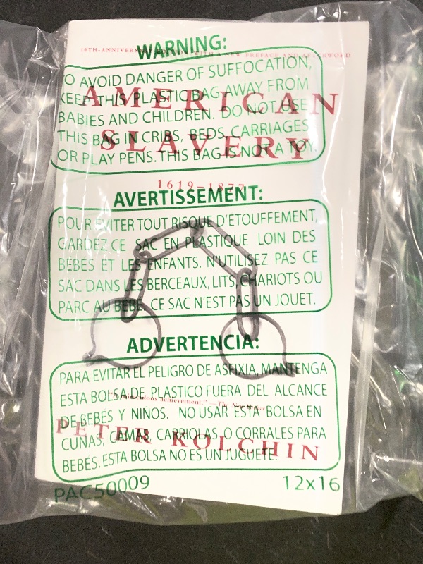 Photo 1 of American Slavery