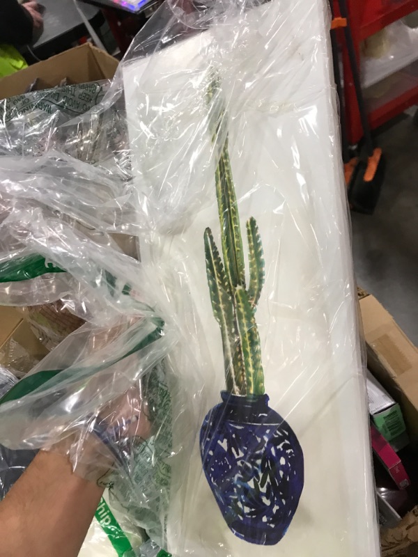 Photo 1 of Stupell Industries Indoor Succulent Still Life Tall Prickly Cactus, Designed by Stellar Design Studio Art, 7 x 17, Wall Plaque