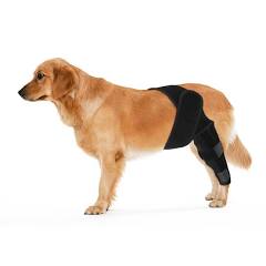 Photo 1 of Tinzum Dog Knee Brace 