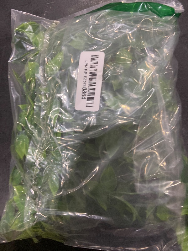 Photo 1 of HERCOCCI Reptile Plants, 2 Pack Terrarium Hanging Plants Vines Artificial Leaves Habitat Decorations with Suction Cup for Bearded Dragon Hermit Crab Lizard Snake Geckos Chameleon