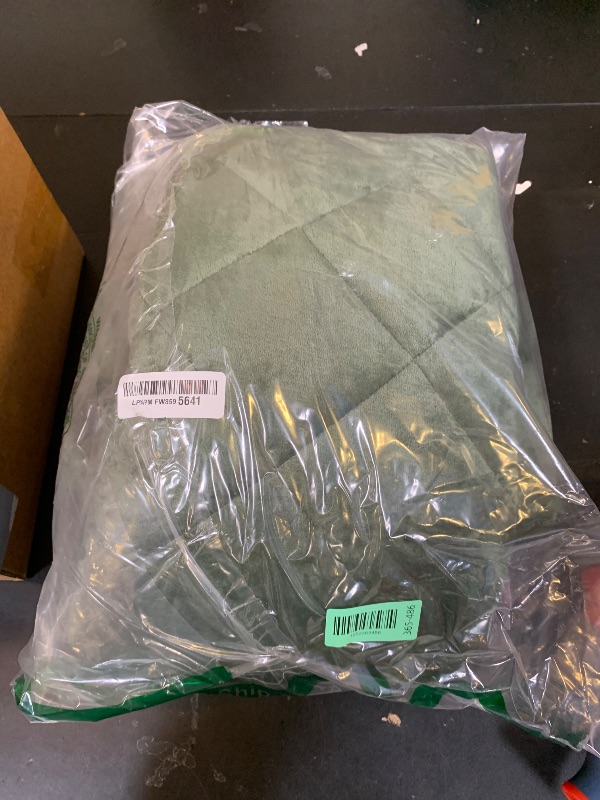 Photo 1 of Smiry Fuzzy Couch Cover for Dogs, Non Slip Washable Pet Sofa Cover, Scratch Proof Hair Resistant Plush Sofa Slipcover, Pet Friendly Couch Cushion Protector for Cat, Green, 27.6" x 70.9"