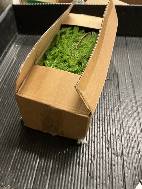 Photo 1 of 2 Pack 9 Ft Artificial Norfolk Pine Garlands - Christmas Decor Realistic Pine Garland, Green Faux Greenery Garland for Table, Mantle, Fireplace, Wall, Indoor Outdoor Winter Christmas Decorations