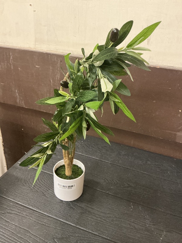 Photo 1 of 28" Fake Olive Tree with Pot Indoor, Small Artificial Olive Branches Stems Potted Greenery Faux Green Plants in Pot for Tabletop Desk Office Bedroom Bathroom Kitchen Living Room Home Decor