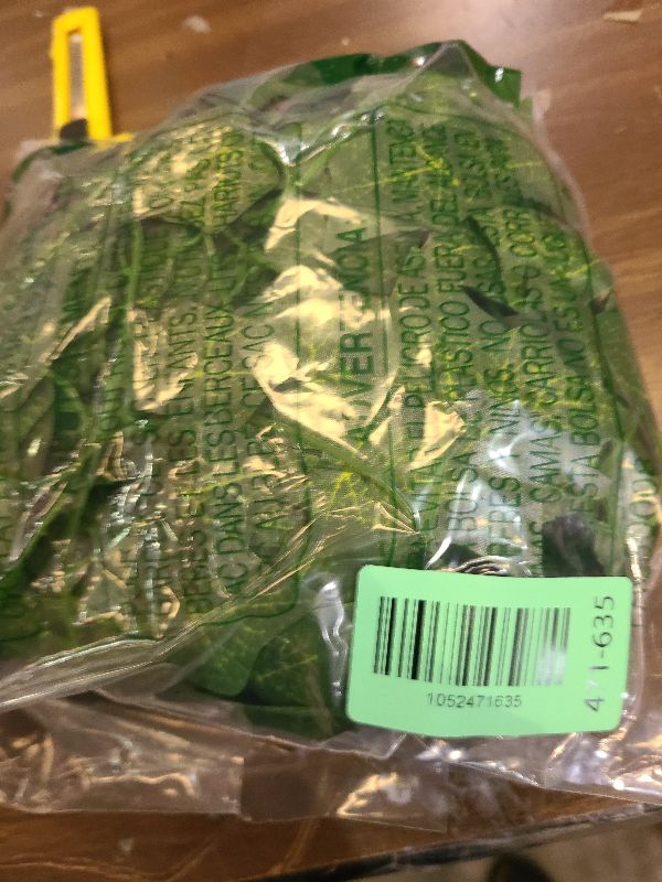 Photo 1 of 12 Pack Fake Vines for Room Decor Artificial Ivy Garland with Clip Green Flowers Hanging Plants Faux Greenery Leaves Bedroom Aesthetic Decor for Home Garden Wall Wedding