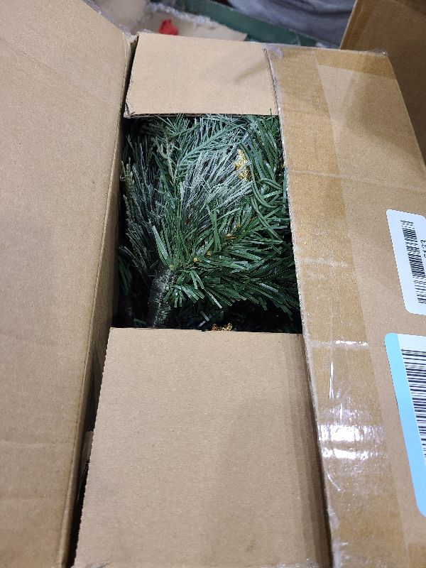 Photo 1 of 2 Pack 24 Inch Lighted Outdoor Christmas Tree with Dual Color LED Lights, Remote Control Battery Operated Pre-lit Pathway Urn Filler, Christmas Porch Decorations for Home, Porch & Yard