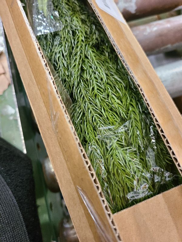 Photo 1 of 16 Pcs Real Touch Norfolk Pine Branch -18" Artificial Christmas Green Plants Branches Faux Greenery Stem Fake Cedar Pine Picks for Vase DIY Crafts Garland Wreath Xmas Indoor Outdoor Home Decor