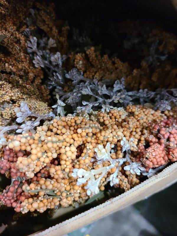 Photo 1 of 22 Inch Fall Harvest Wreath Wheat Grain Decor Rustic Thanksgiving Wreaths for Front Door Autumn Farmhouse Decor Indoor Outdoor