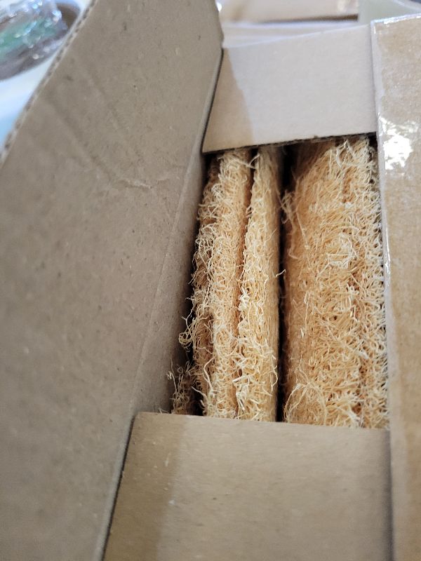 Photo 1 of 10 Pcs (7 – 10 Inches) Natural Loofah Sponge | Organic Loofah | Shower Loofah Exfoliating Body Scrubber | Bath for Loofah for Men and Women | (10 - Pack)