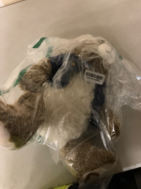 Photo 1 of Animal Adventure | Peter Rabbit | 16” Collectible Plush Bunny