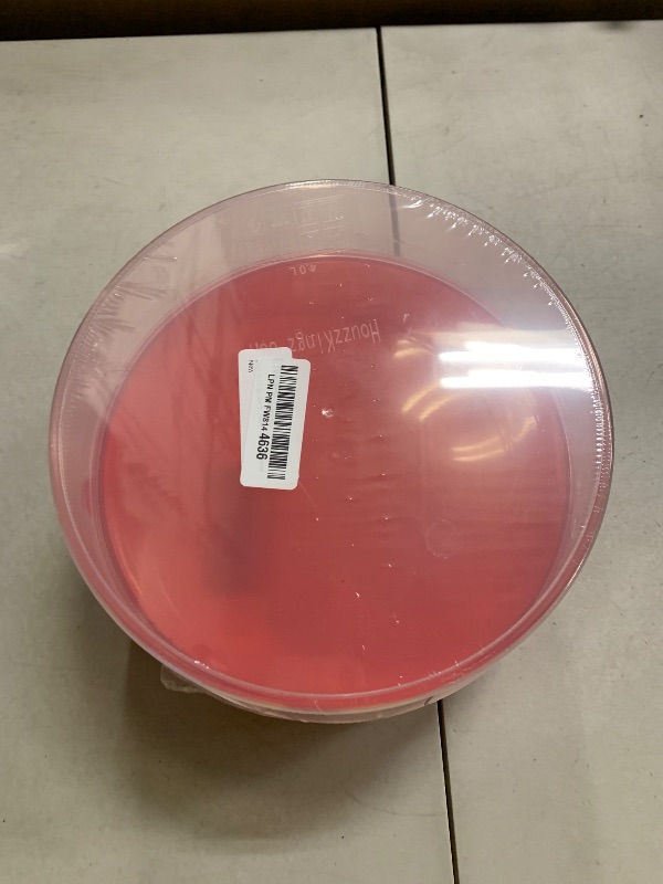 Photo 1 of 2 Pack Pie Carrier Cake Storage Container with Lid | 10.5" Large Round Plastic Cupcake Cheesecake Muffin Flan Cookie Tortilla Holder Storage Containers Airtight | Pie Keeper Transport Container