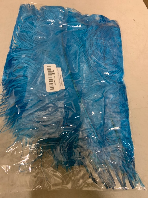 Photo 1 of 10pcs Large Turquoise Ostrich Feathers 16-18 inch Fluffy Feather for Crafts Home Party Decoration Wedding Centerpieces Clothes Vase Decor