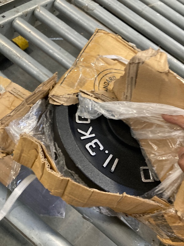 Photo 1 of Fitvids Standard Cast Iron 1-Inch Weight Plate for Strength Training & Weightlifting, 25 LB Pair