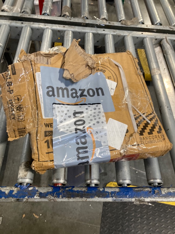 Photo 1 of Fitvids Standard Cast Iron 1-Inch Weight Plate for Strength Training & Weightlifting, 25 LB Pair