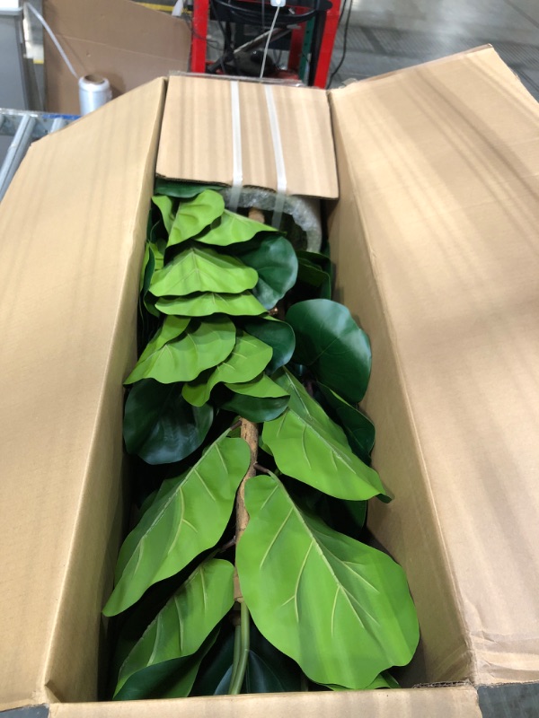 Photo 1 of ** FACTORY SEALED**OAKRED Artificial Fiddle Leaf Fig Tree with White Planter, 6ft Tall Fake Tree with Natural Wood Trunk for Home Decor, Faux Ficus Tree Fake Moss for Indoor Office Living Room