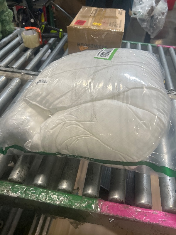 Photo 1 of **ONLY ONE**
Beckham Hotel Collection Euro Size Throw Pillows (Set of 2), 26 x 26 Down Alternative Pillow Insert for Bed, Couch, and Sofa