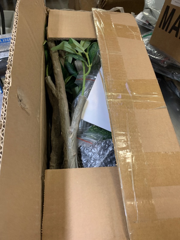 Photo 1 of Olive Trees Artificial Indoor, 6FT Tall Faux Olive Tree with Moss and Planter, Artificial Plants Indoor with Natural Wood Trunk and Lifelike Fruits, Fake Tree for Home Office Living Room Decor