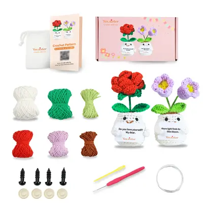 Photo 1 of DIY Yes.Sister Amigurumi Crochet Kit: Emotional Support Crochet Flowers Pattern