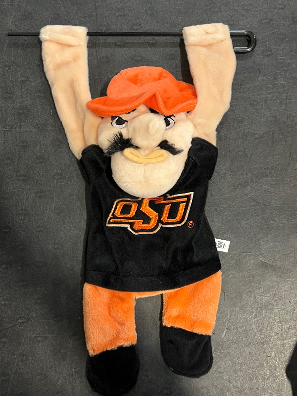 Photo 1 of 3D Mascot Garden Flag 