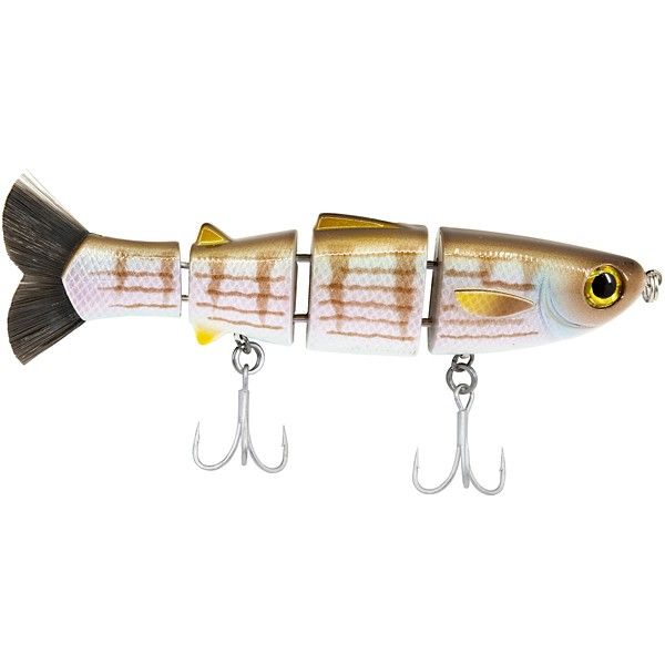 Photo 1 of Mike Bucca's Bull Mullet
