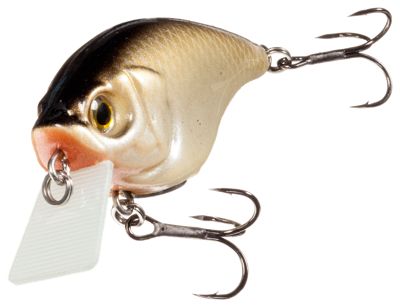 Photo 1 of "Boyd Duckett Series Soft Squarebill Crankbait - Copper Green Shad - 2-1/2"""
