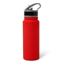 Photo 1 of 25oz Stainless plain Flip Top Bottle