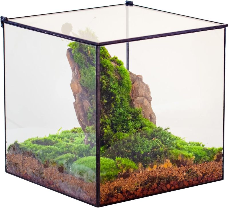 Photo 1 of Closed Glass Terrarium with Lid - 6x6x6 Inches - Black Square Glass Planter Pot for Succulent - Home Tabletop Landscape - Garden Display Flower Pot, Handmade (No Plants)