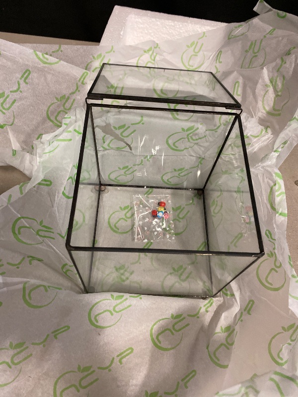 Photo 1 of Closed Glass Terrarium with Lid - 6x6x6 Inches - Black Square Glass Planter Pot for Succulent - Home Tabletop Landscape - Garden Display Flower Pot, Handmade (No Plants)